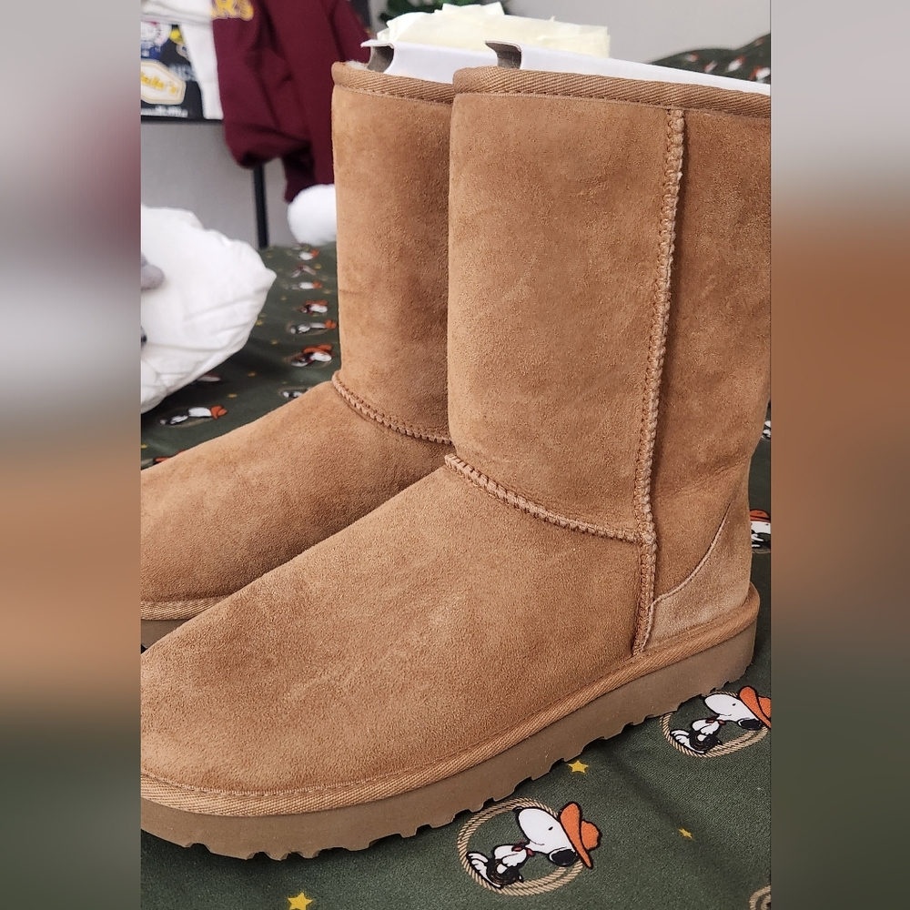 NWOB UGG Classic Short in Chestnut